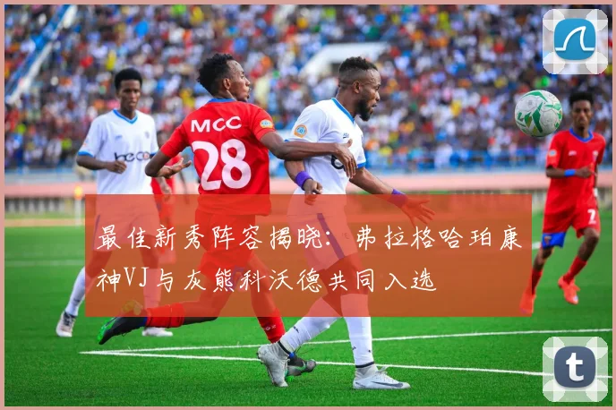 最佳新秀阵容揭晓：弗拉格哈珀康神VJ与灰熊科沃德共同入选